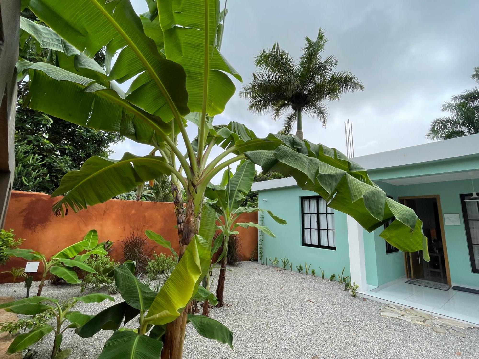 Casa Monte Verde Villa Las Galeras Exterior photo